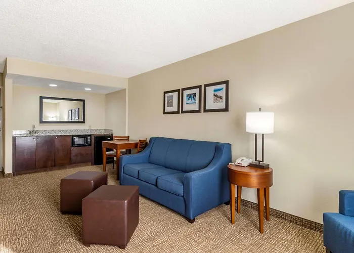 Comfort Inn & Suites St Pete - Clearwater International Airport
